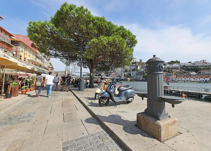 Flh Boavista Wooden Flats Apartment Porto